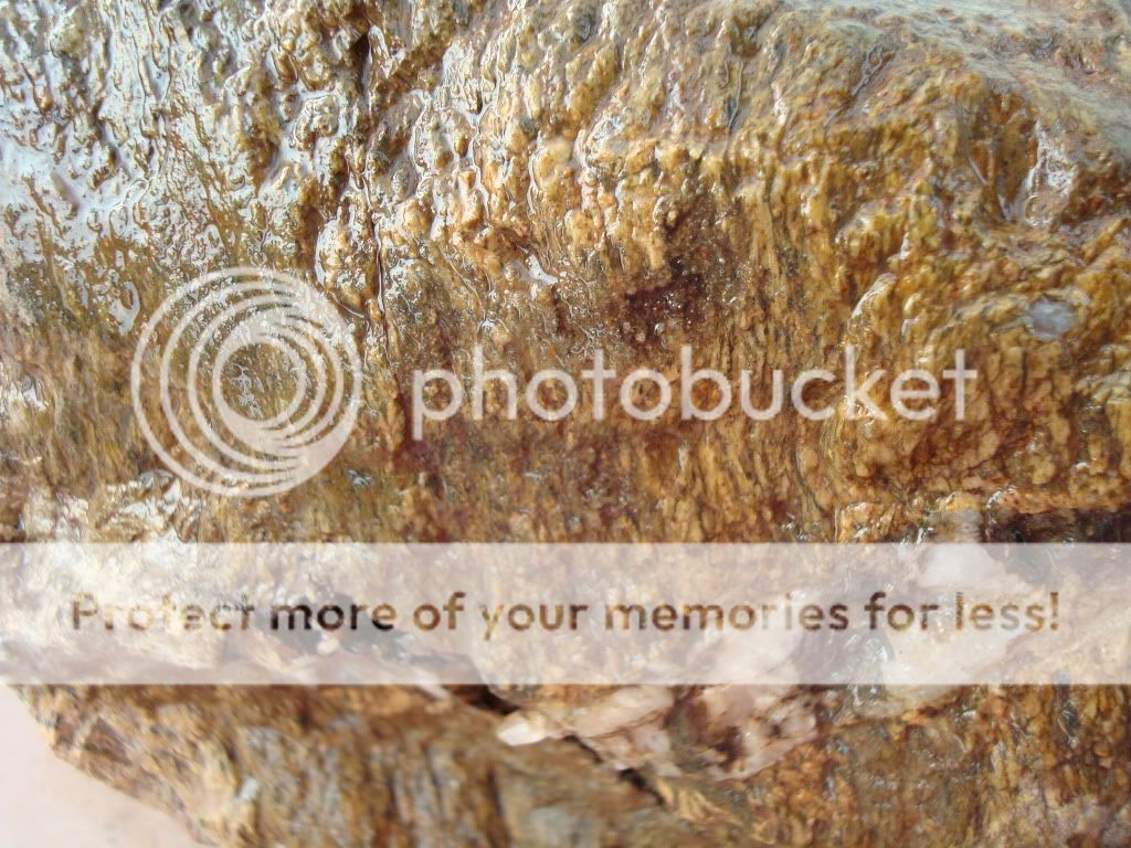 Binghamite/Silkstone Rock Tumbling Hobby