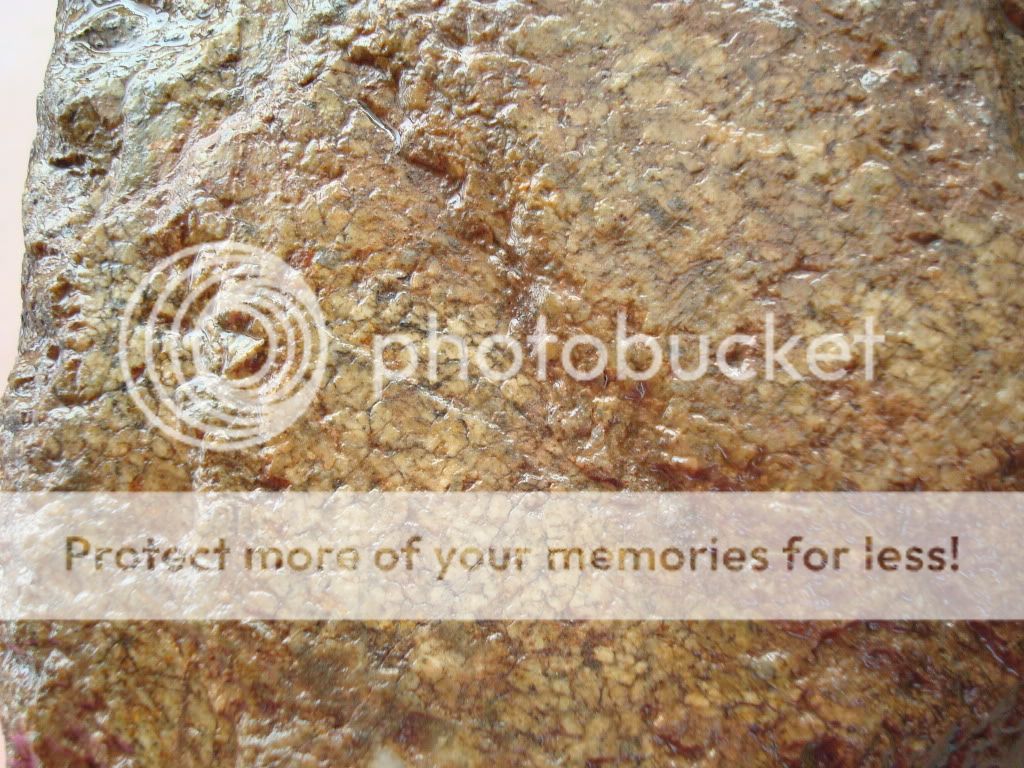 Binghamite/Silkstone Rock Tumbling Hobby