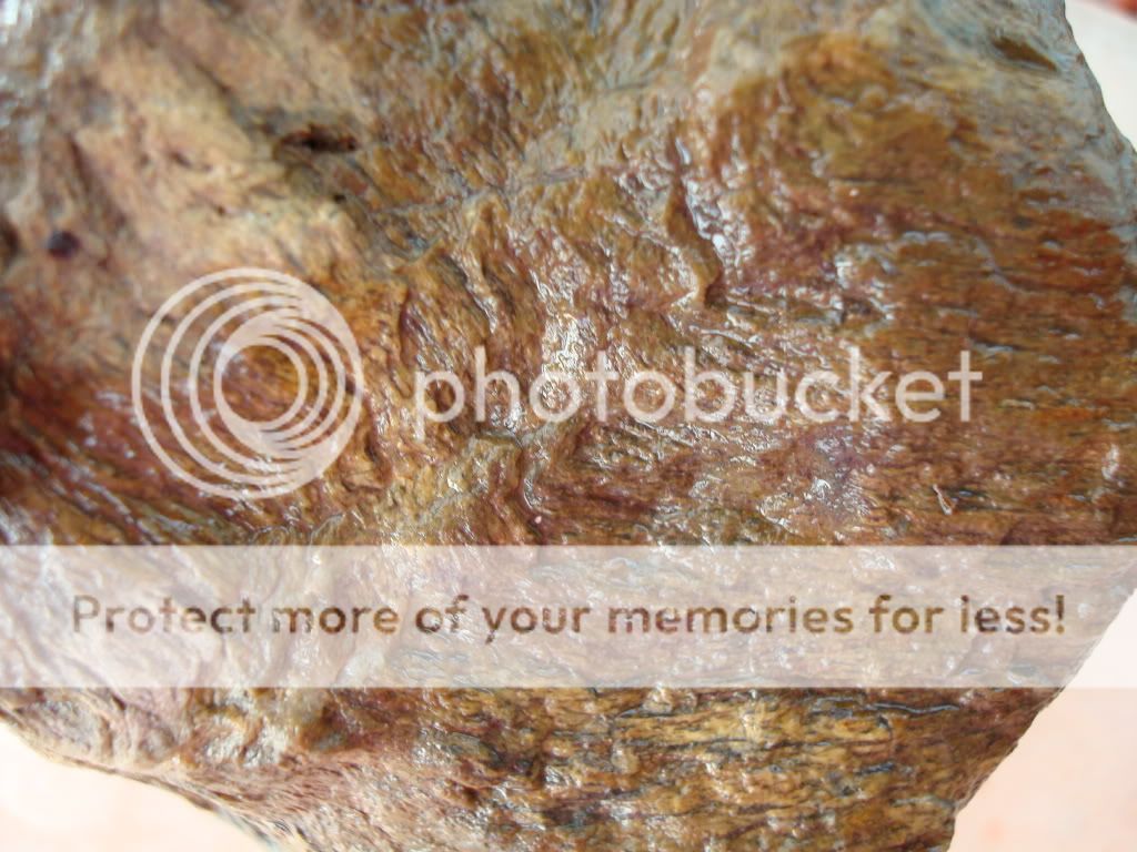 Binghamite/Silkstone Rock Tumbling Hobby