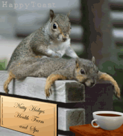 [Image: 16.gif]