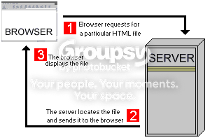 [Image: image015.png]