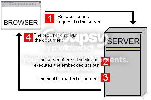 [Image: image017.png]