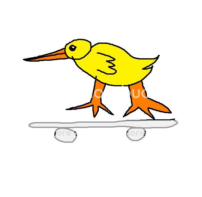 duckonaskateboard.jpg