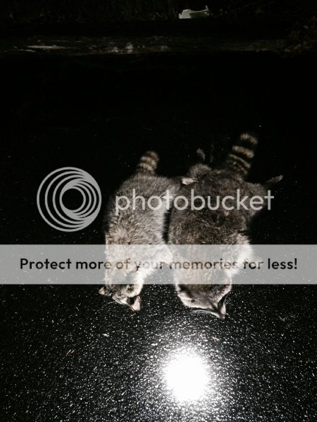 photo SubstandardFullSizeRender_zps22f22884.jpg