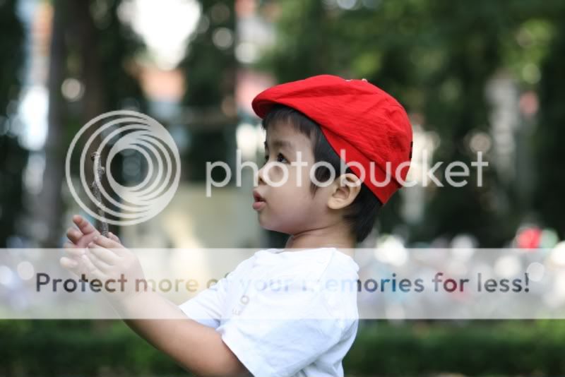 IMG_0310.jpg picture by hagiangphan