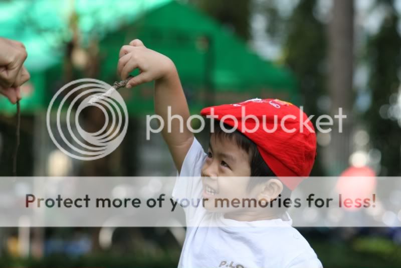 IMG_0311.jpg picture by hagiangphan