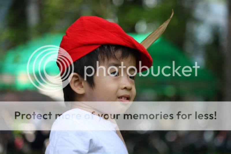 IMG_0333.jpg picture by hagiangphan