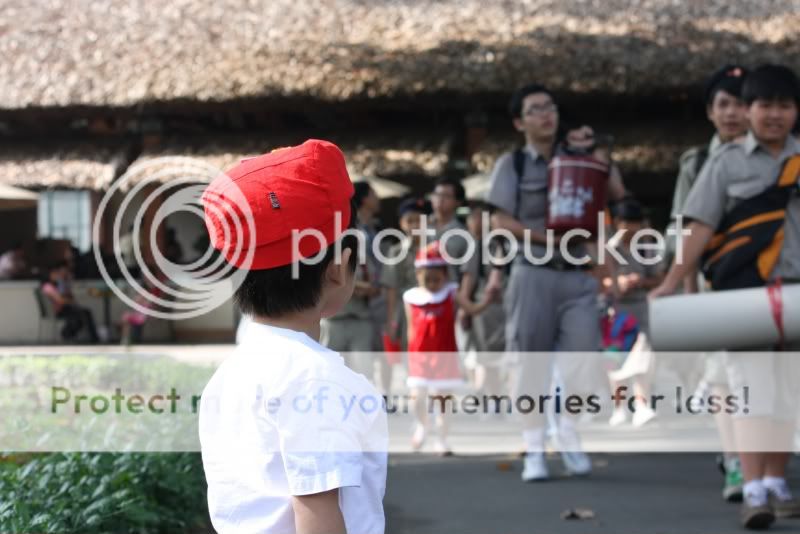 IMG_0359.jpg picture by hagiangphan