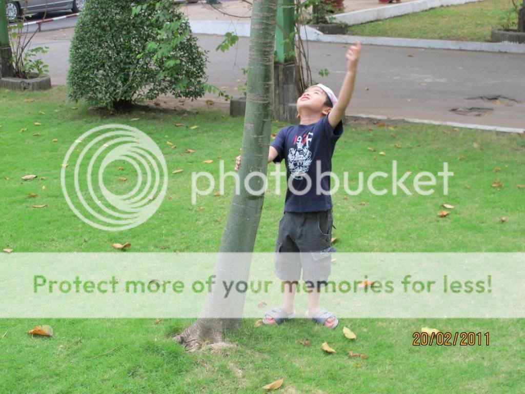 Photobucket