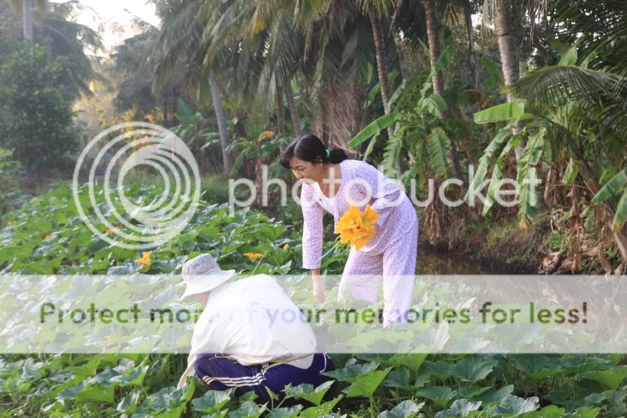 IMG_3104.jpg picture by hagiangphan