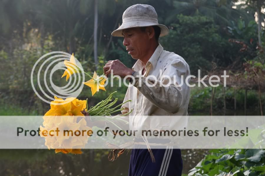 IMG_3134.jpg picture by hagiangphan