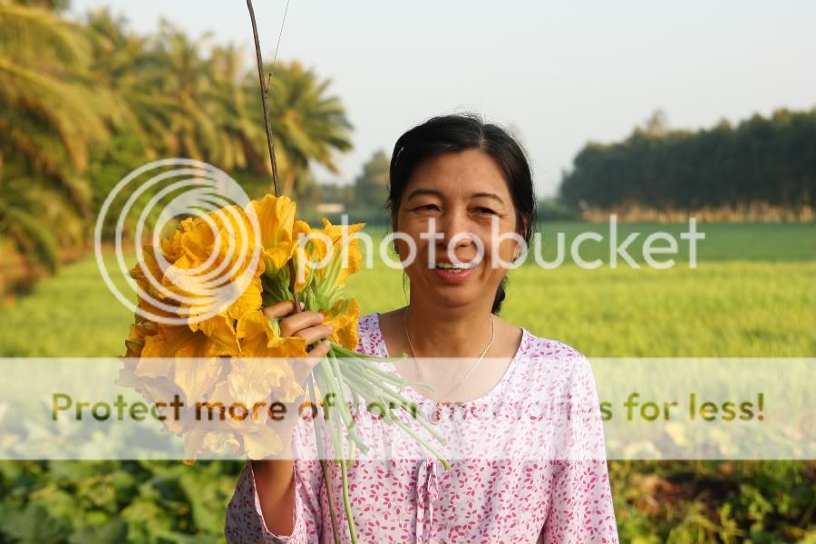 IMG_3149.jpg picture by hagiangphan
