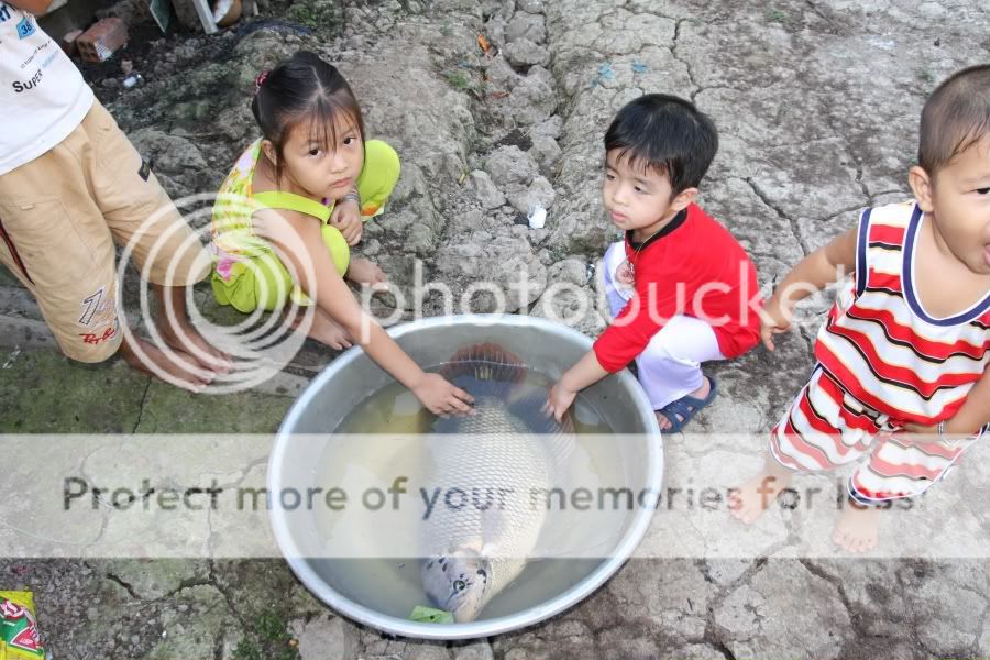 IMG_3273.jpg picture by hagiangphan