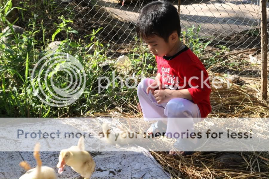 IMG_3295.jpg picture by hagiangphan