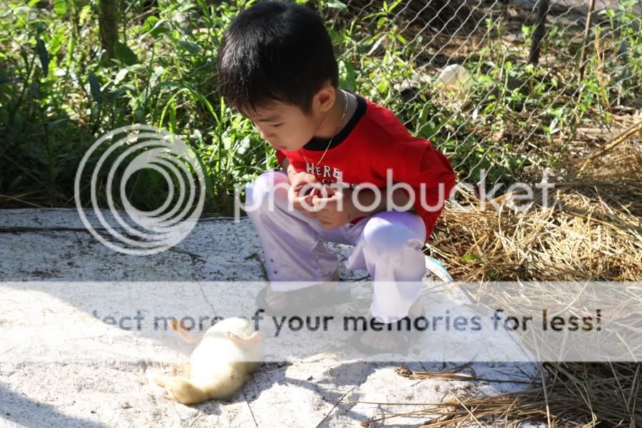 IMG_3297.jpg picture by hagiangphan
