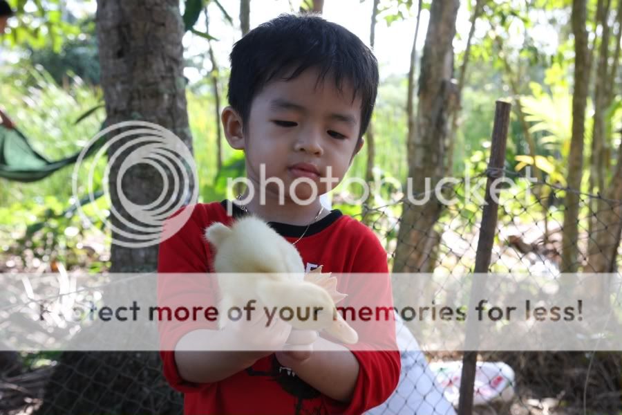 IMG_3303.jpg picture by hagiangphan