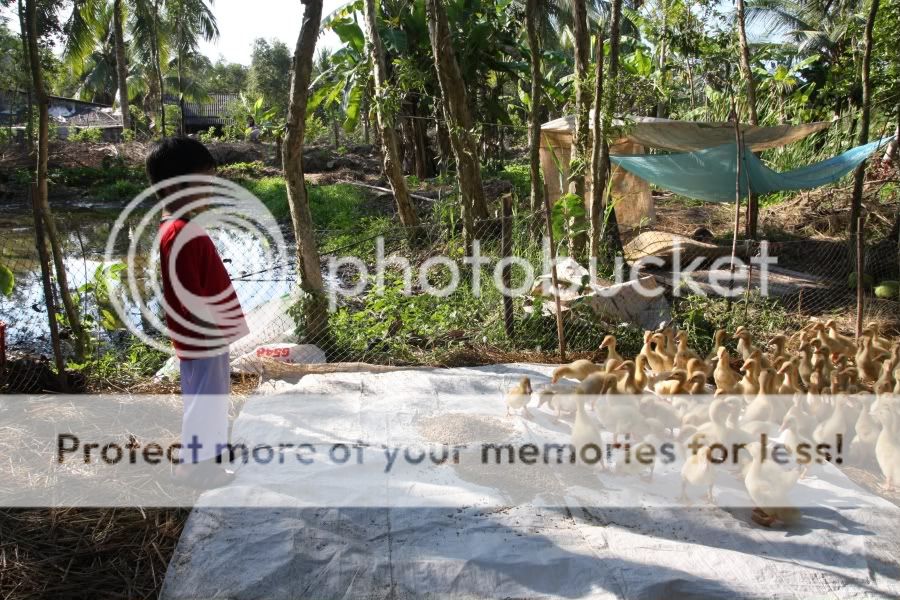 IMG_3311.jpg picture by hagiangphan