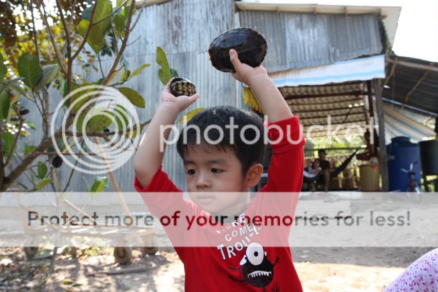 IMG_3328.jpg picture by hagiangphan