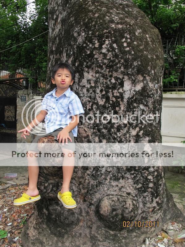 Photobucket