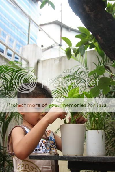 Photobucket