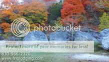 Rio Frio Lodging