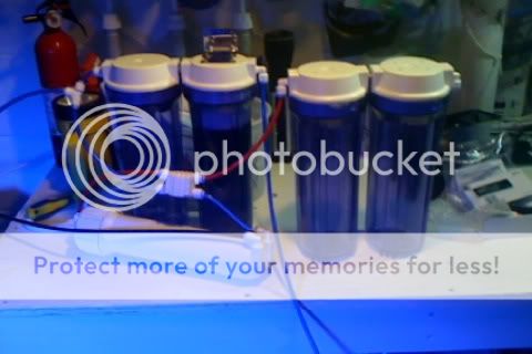 IMG 3078 - Teach me some basics PLZ