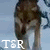 Twilight Saga Rol