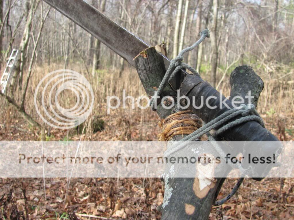 Black Cherry Tree Sap? Bushcraft USA Forums