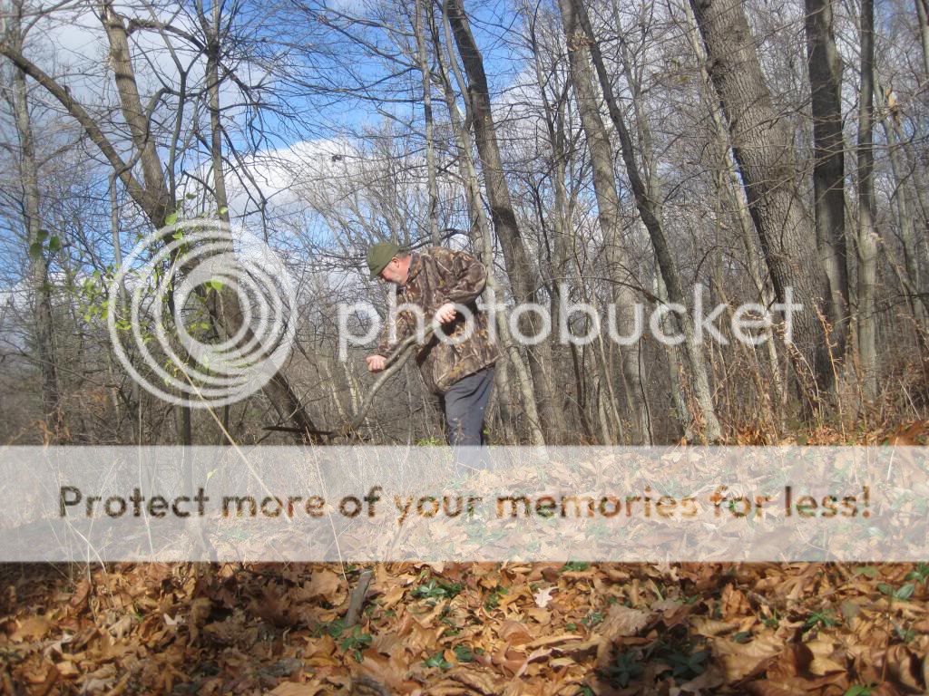 Black Cherry Tree Sap? Bushcraft USA Forums